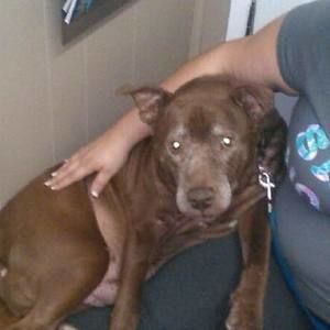 Meet your Posher, Brittney